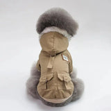 French Bulldog in trendy and warm cap coat for autumn and winter walks.