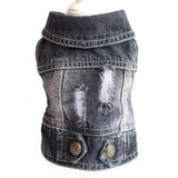 Small Dog Denim Jacket for the Fashion