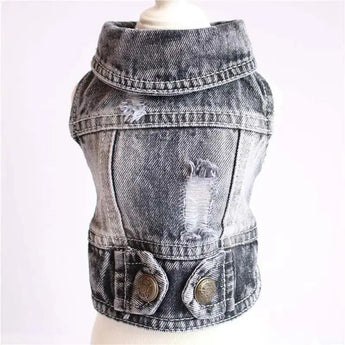 Small Dog Denim Jacket for the Fashion