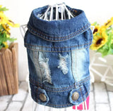 Small Dog Denim Jacket for the Fashion