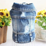 Small Dog Denim Jacket for the Fashion