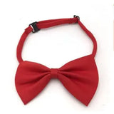 Adjustable Dog Cat Bow Tie Collection for Stylish Pets red