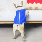 Beat the Heat with Dog Cooling Vest blue jacket