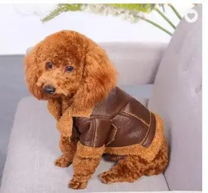 Punk Leather jacket UK with dog wearing brown jacket