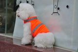 Stay Safe and Stylish: Summer Pet Clothing main