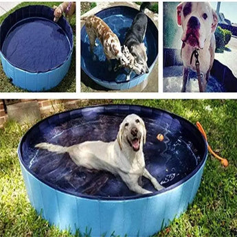 Dive Into Summer Fun: Introducing the Pet Pool Dog Swimming Pool 