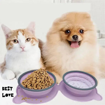 Portable Silicone Double Dog Food Bowls Foldable Non-Slip Cat Bowl main