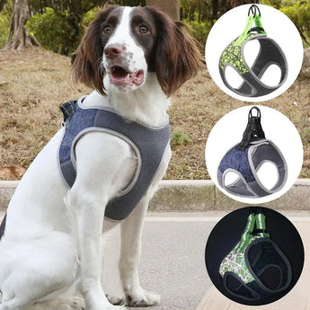 Strong Dog Leash Vest 