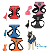 Premium Dog Harness main