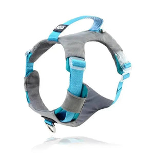 Explosion-Proof Big Dog Chest Strap