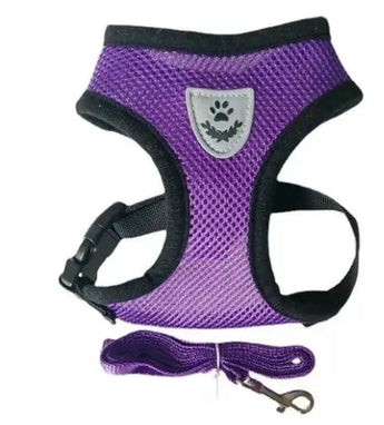 Premium Dog Harness purple