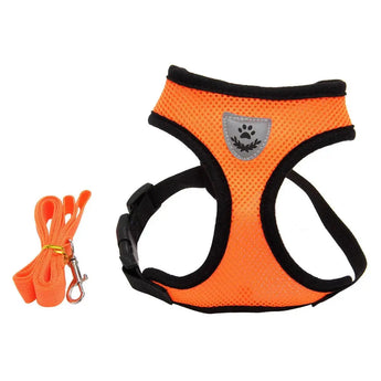 Premium Dog Harness orange