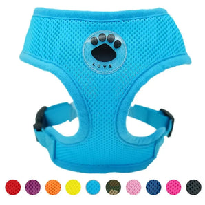 High-quality mesh dog harness ensuring stress-free walks with breathable comfort for active dogs. in blue