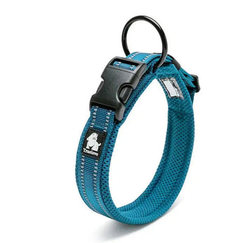 in turquoise Safety-First Dog Collar - Anti-Strangulation Design for Stress-Free Play and Freedom to Explore