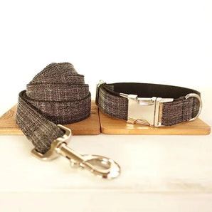 Walk in style With This Dog Collar and lead