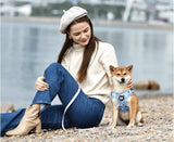 Comfortable breathable mesh dog harness providing ultimate control for enjoyable walks with your pet.