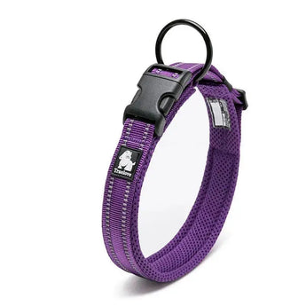 in purple Revolutionary Anti-Strangulation Dog Collar for a Safer and Happier Pet Lifestyle