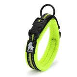 in bright green Breakthrough Dog Collar Technology Ensuring Pet Safety During Play, Walks, and Exploration