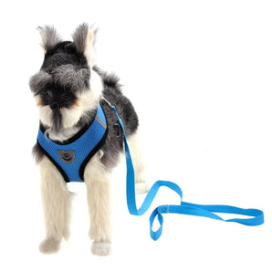 Premium Dog Harness with a dog