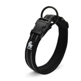 in black Pet-Friendly Anti-Strangulation Collar Offering Safety and Freedom During Play and Walks