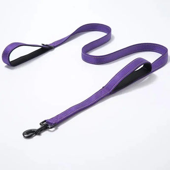 Pet Products Leash Leash Nylon Double Thickened Reflective Dog Leash J.S.M