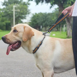 Master the Walk: Big Dog Short Traction Rope for Effortless Training