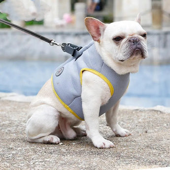 Dog Cold Chest Strap Summer Cooling Clothes Cool Vest Clothing - J.S.MDog Walks, Dog ProductCJGX111226606FU