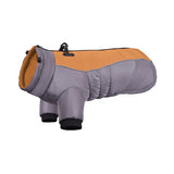 Brightly coloured winter coat for small and medium-sized dogs