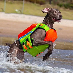 Summer cooling dog swimsuit prevents drowning, breathable pet swimwear for safe water fun.