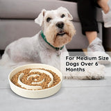 Non-toxic ceramic slow feeder dog bowl for medium breeds to control overeating and maintain health.