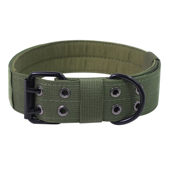 Green dog collar with black buckle on a white background
