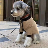 Pet dressed in a neutral-coloured winter jacket with a casual design for everyday wear.