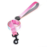 Secure and strong nylon dog leash and collar set, perfect for large breed walking and training -  Summer-neon-Lead-S