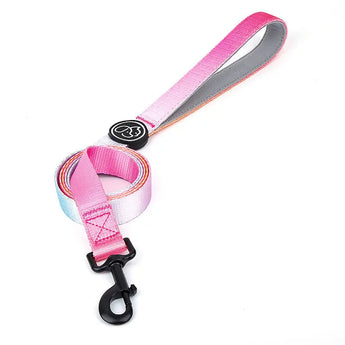 Secure and strong nylon dog leash and collar set, perfect for large breed walking and training -  Summer-neon-Lead-S
