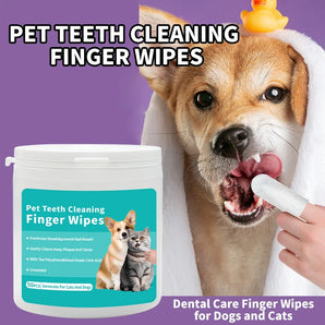 Pet teeth cleaning finger wipes with a dog and cat on the packaging, and a dog being cleaned by a person.