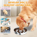 develop dog's healthy eating habit