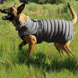 Style Meets Comfort: Dog Clothing Cotton Four-Legged J.S.M